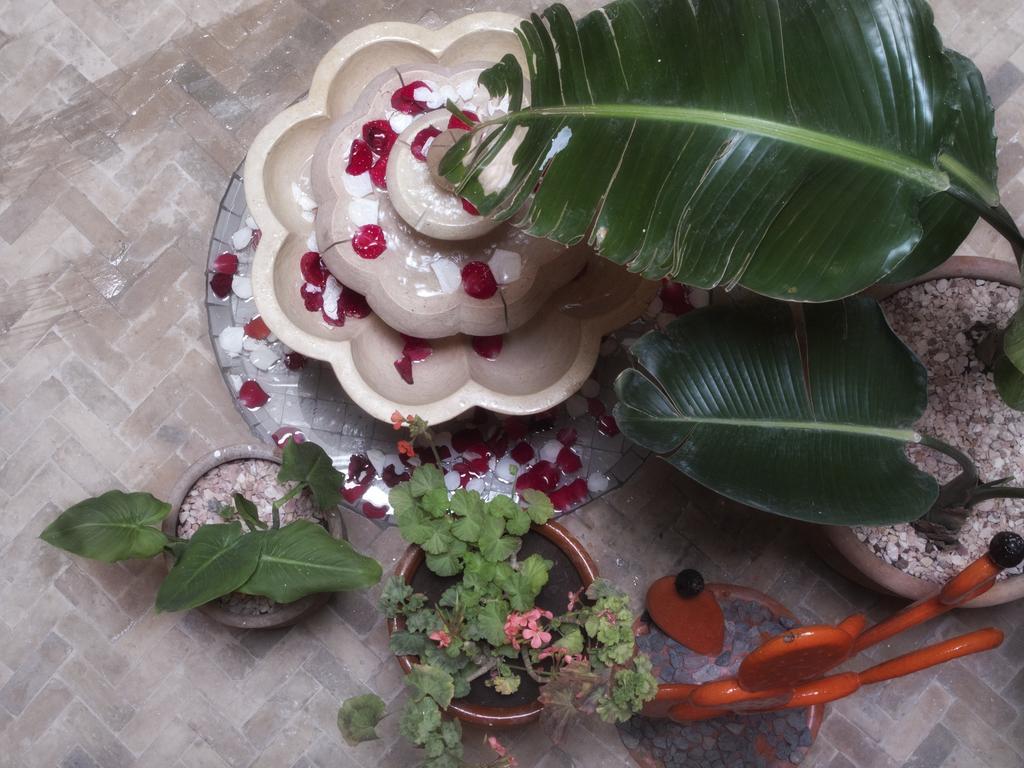 Riad Orange Cannelle الصويرة المظهر الخارجي الصورة